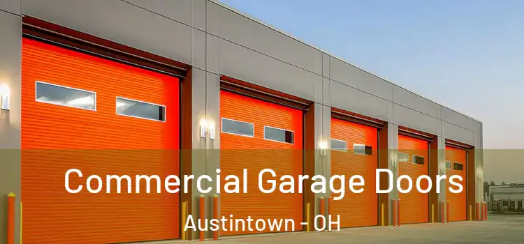  Commercial Garage Doors Austintown - OH