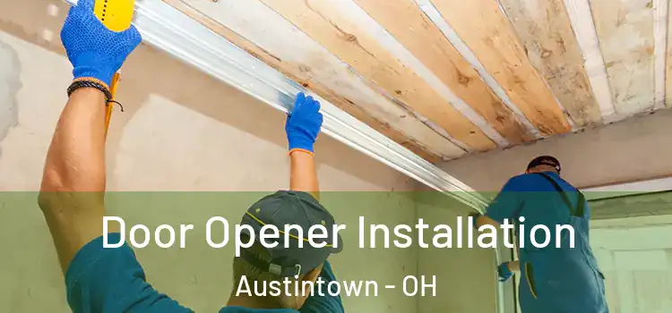  Door Opener Installation Austintown - OH