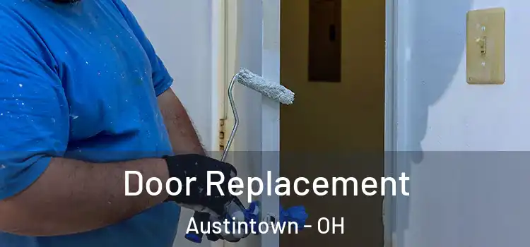  Door Replacement Austintown - OH