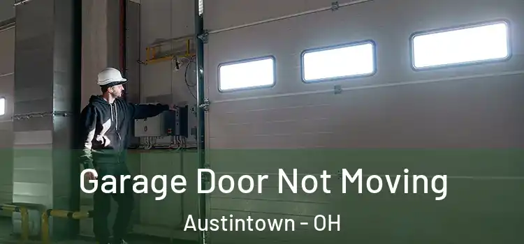  Garage Door Not Moving Austintown - OH