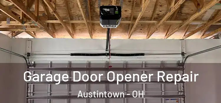  Garage Door Opener Repair Austintown - OH