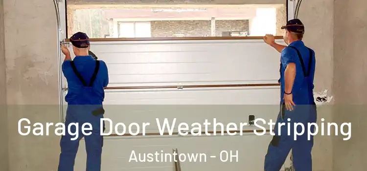  Garage Door Weather Stripping Austintown - OH