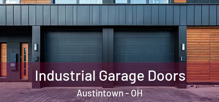  Industrial Garage Doors Austintown - OH