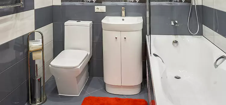 Hansgrohe Shaving Mirror Austintown