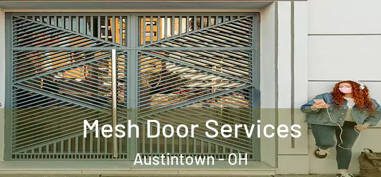 Mesh Door Services Austintown - OH