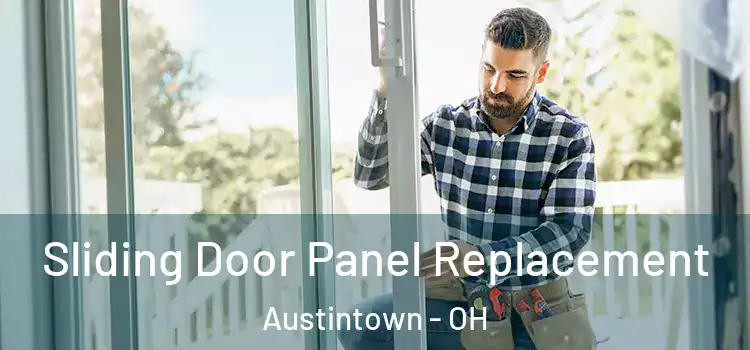  Sliding Door Panel Replacement Austintown - OH