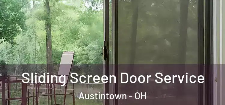  Sliding Screen Door Service Austintown - OH